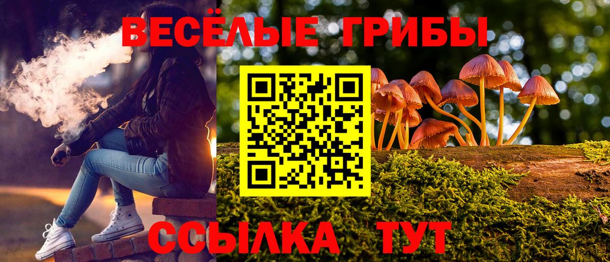 Псилоцибиновые грибы Magic Shrooms Ухта